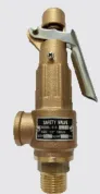 Safety Valve with Lever
